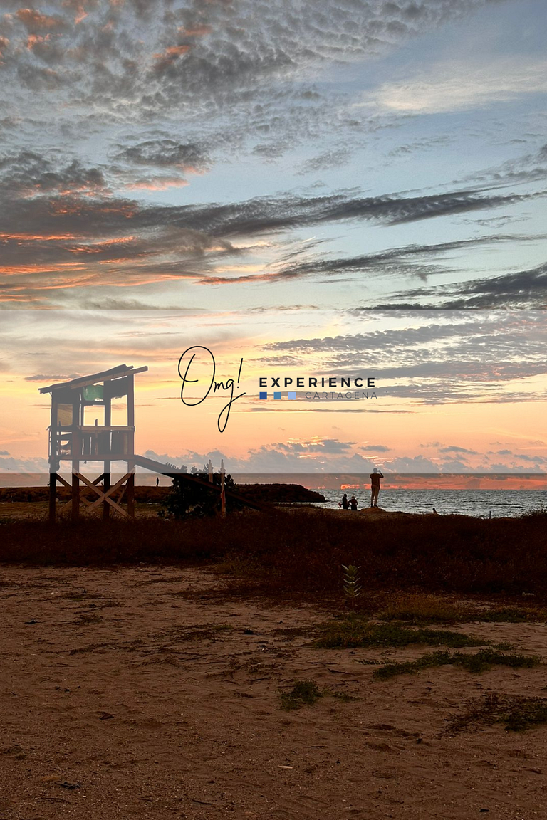 CB1535 Suite Acogedora Vista Tropical-Amanecer
