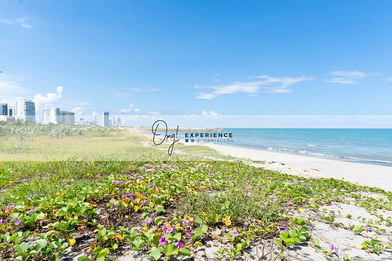 CB615 Maravillosa Suite Frente al Mar-Crespo