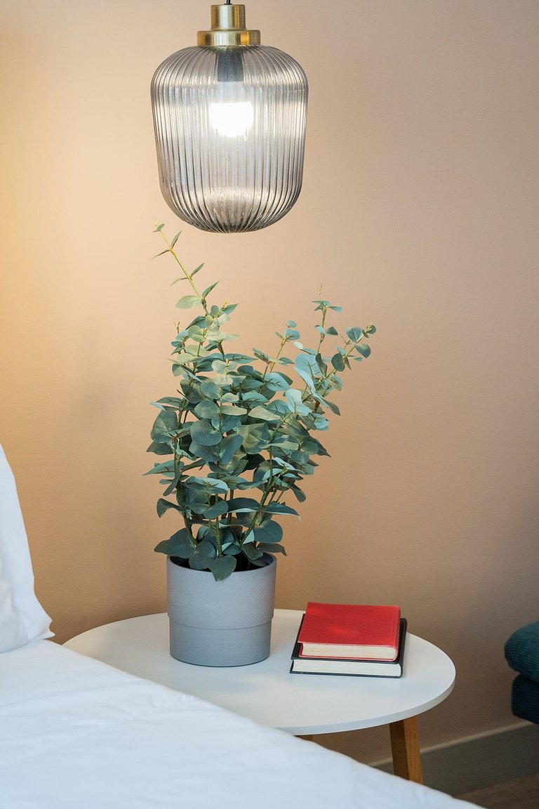 Junto a Corferias | Embajada USA y Aeropuerto QL