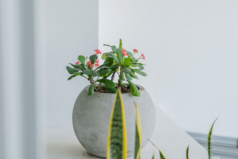 CB544 | Acogedora suite vista a la piscina